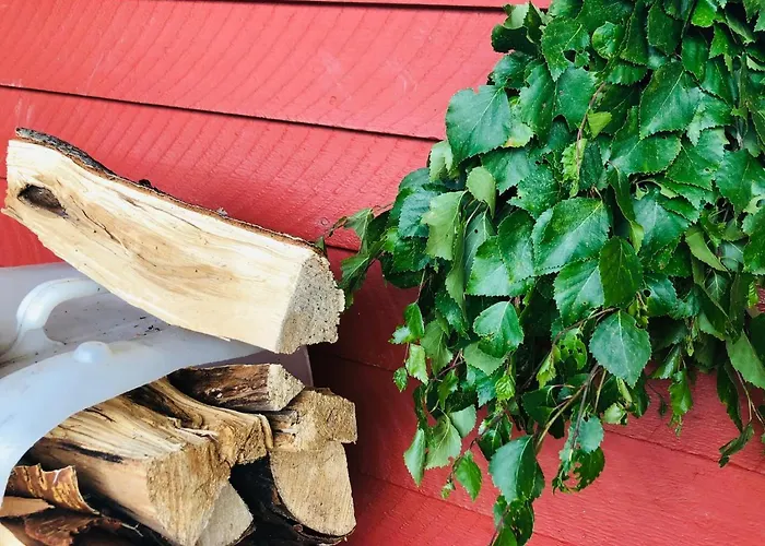Vahajarven Lomakoti Ja Kurssikeskus 3* Hämeenlinna